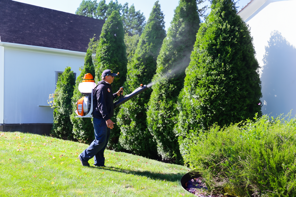 man-spraying-ticks-from-yard