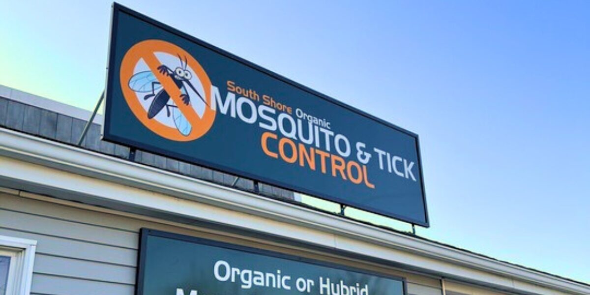 Does Mosquito Spraying Actually Work? What Homeowners Should Know