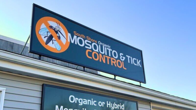 Mosquito Control in Kingston MA: What South Shore Homeowners Need to Know
