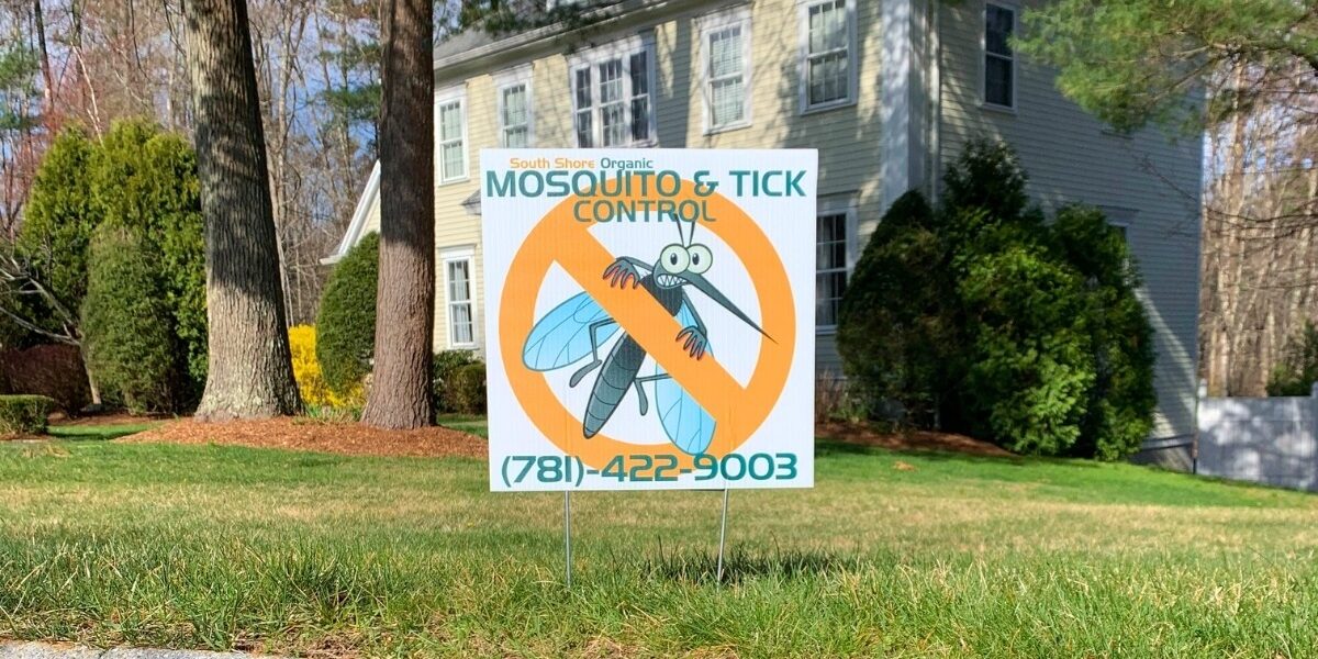 The Importance of Yard Care to Prevent Mosquito and Tick Breeding