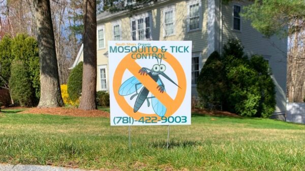 The Importance of Yard Care to Prevent Mosquito and Tick Breeding