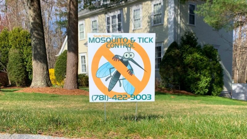 The Importance of Yard Care to Prevent Mosquito and Tick Breeding