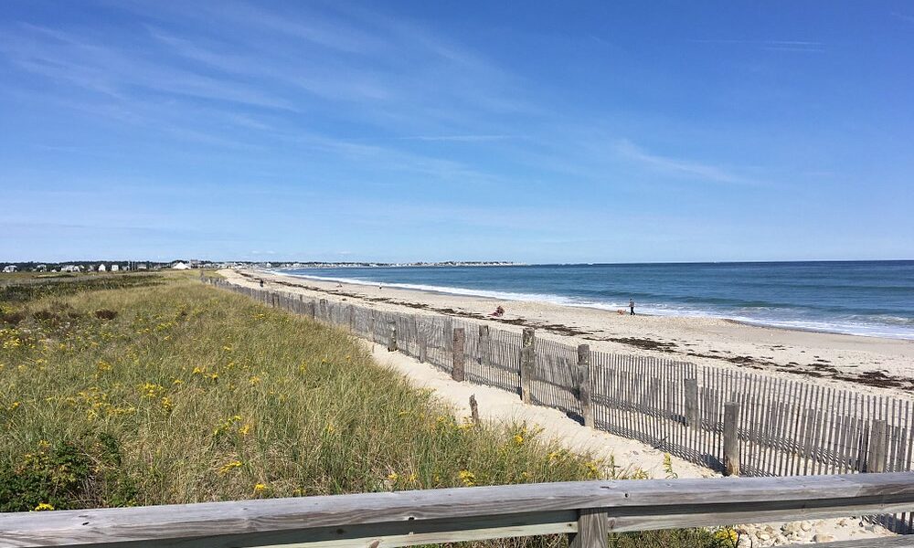 Mosquito and Tick Control in Duxbury, MA: What Coastal Properties Face