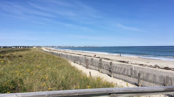 Mosquito and Tick Control in Duxbury, MA: What Coastal Properties Face