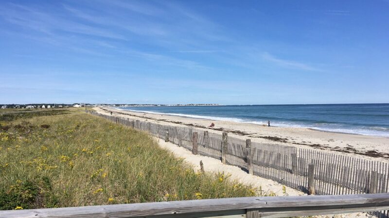 Mosquito and Tick Control in Duxbury, MA: What Coastal Properties Face