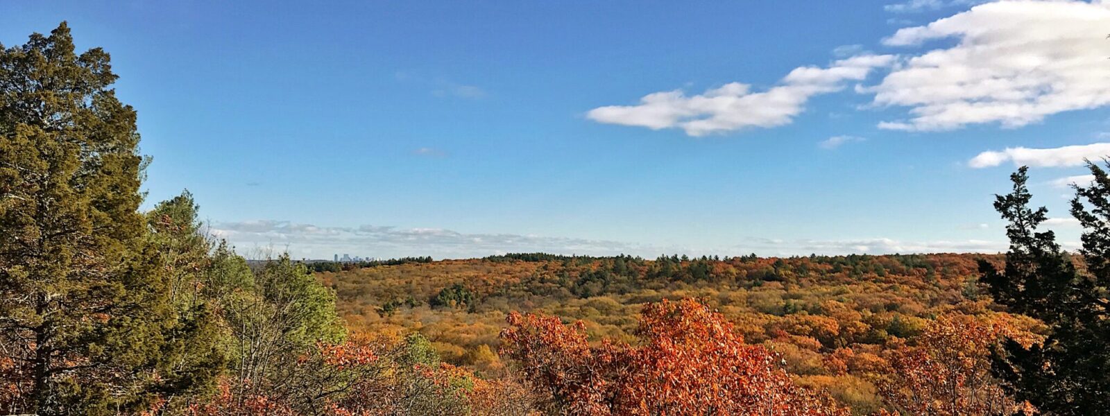 Mosquito and Tick Control in Hingham, MA: Coastal Conditions That Increase Mosquito Activity