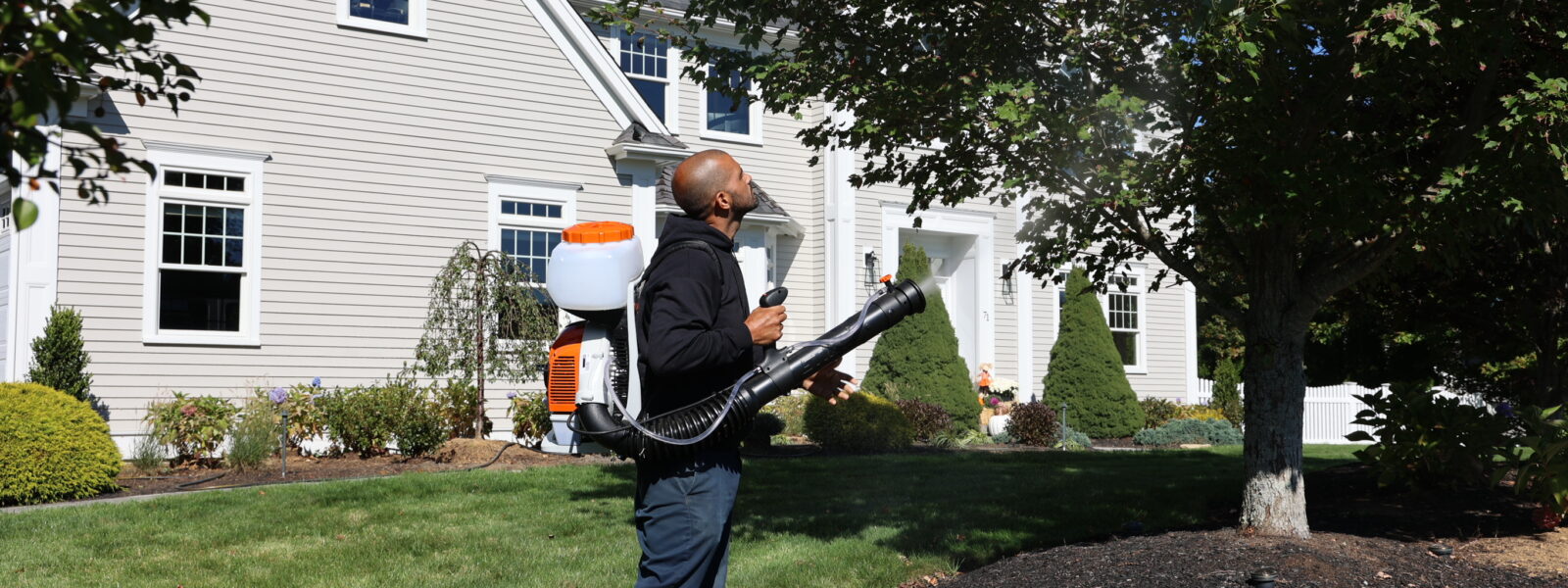 Mosquito Control in Marshfield MA: What to Expect