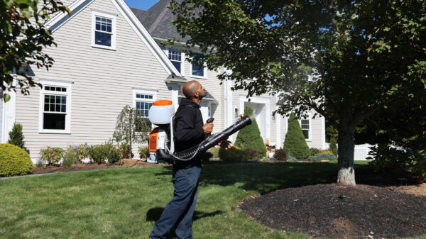 Mosquito Control in Marshfield MA: What to Expect