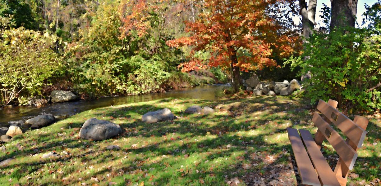 Mosquito and Tick Control in Pembroke, MA: Ponds, Wetlands, and a Yard You Can Actually Use