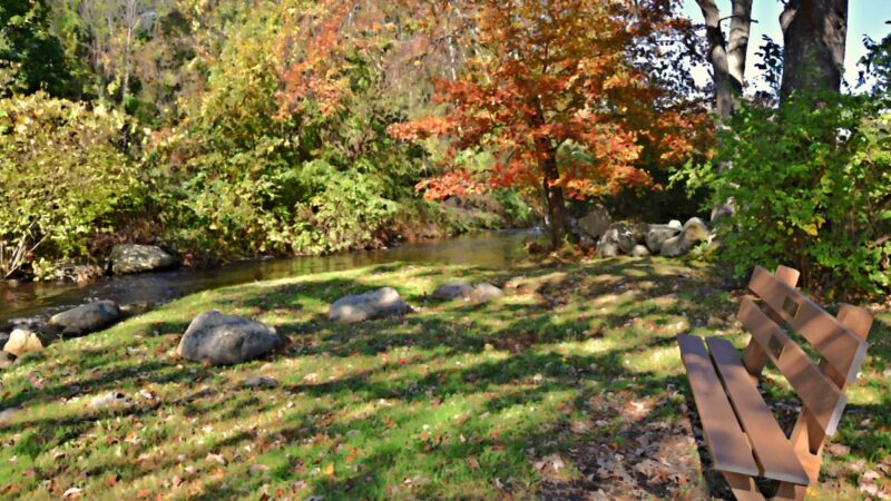 Mosquito and Tick Control in Pembroke, MA: Ponds, Wetlands, and a Yard You Can Actually Use