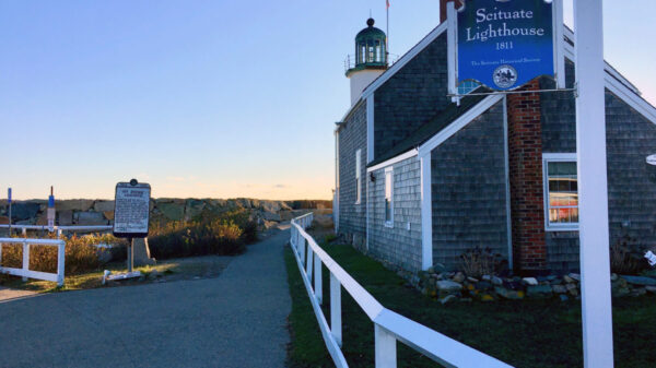 Mosquito and Tick Control in Scituate, MA: What Oceanfront and Harbor Properties Are Up Against