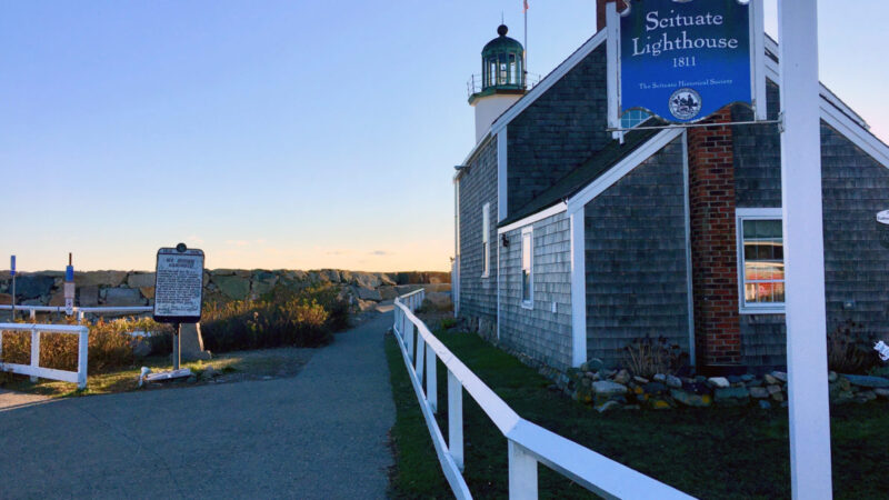Mosquito and Tick Control in Scituate, MA: What Oceanfront and Harbor Properties Are Up Against