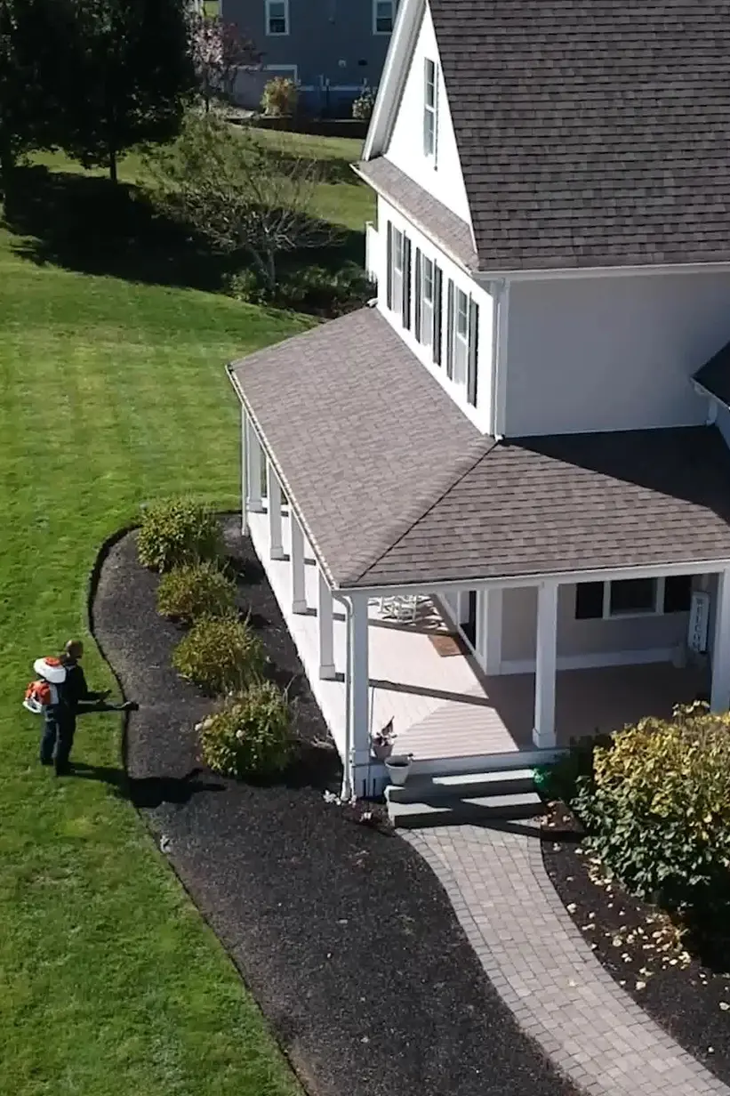 Mosquito Control