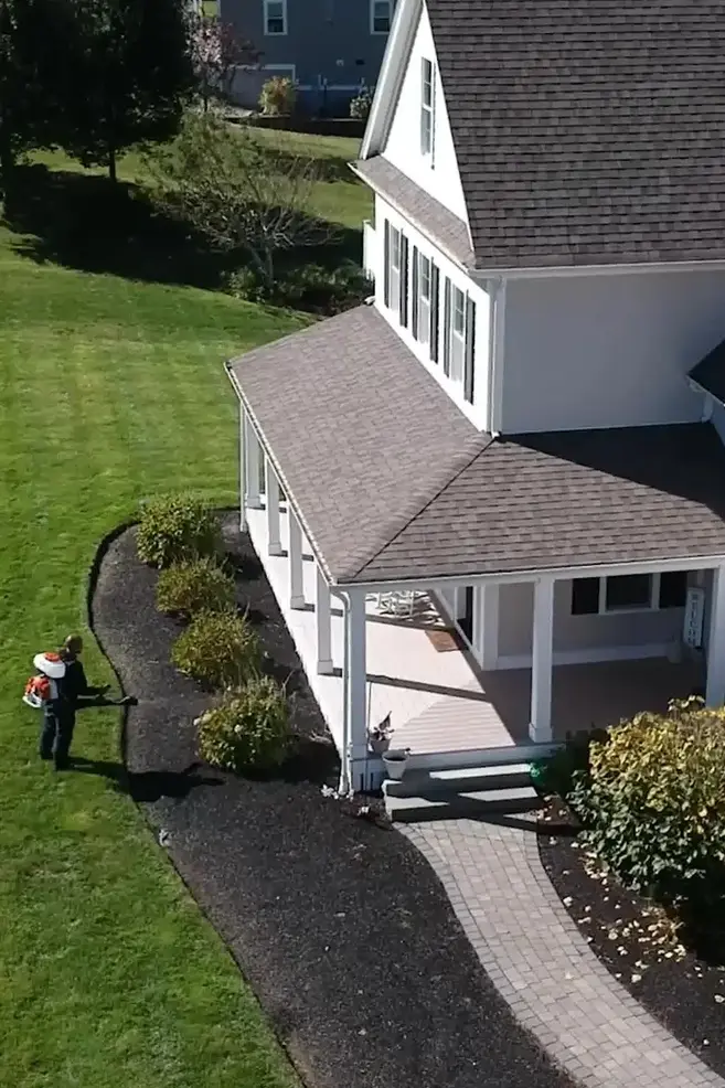 Mosquito Control