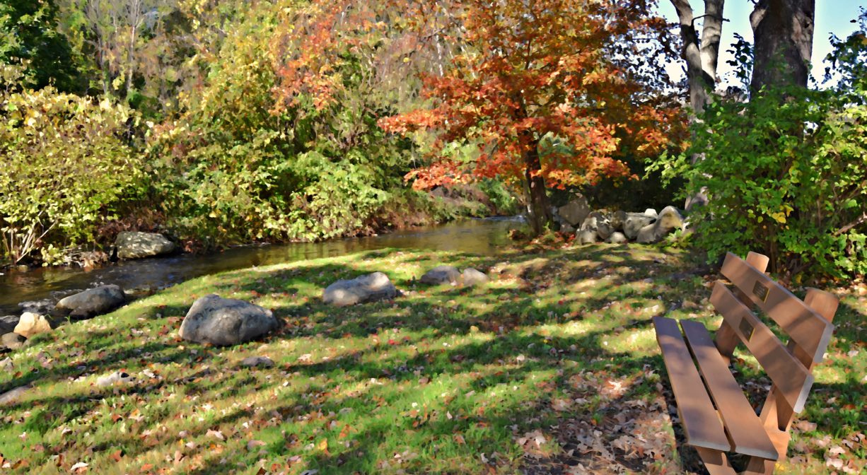 Herring Run stream and trees in Pembroke Massachusetts