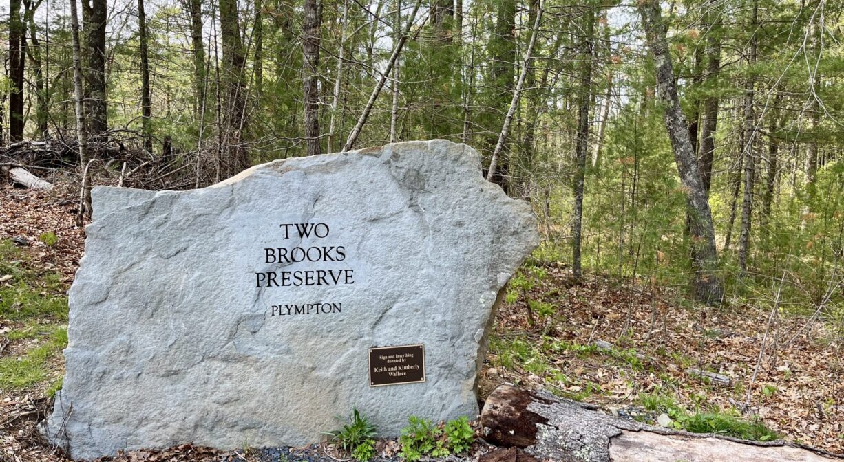 Two Brooks Preserve woodland trails in Plympton Massachusetts